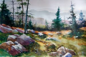 Mike Flynn - Shenandoah - Skyland