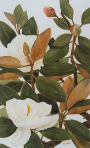 KARIN SEBOLKA – Beautiful Maggie - Watercolor