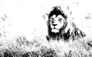 Lyin Lion