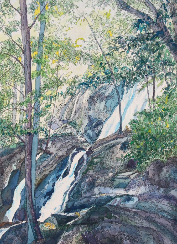 Janet Hansen Martine - Dark Hollow Falls