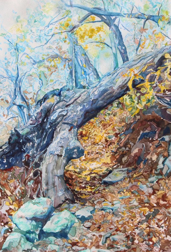 Janet Hansen Martinet - On the Trail to Mary's Rock