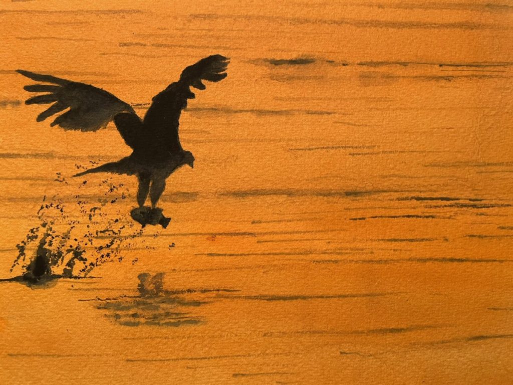 Patricia Hafkemeyer - Gotcha