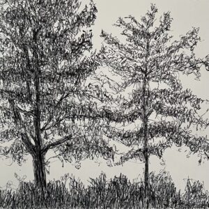 Susan Larimer - At the Arboretum
