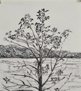 Susan Larimer - Waiting for the Tall Ships